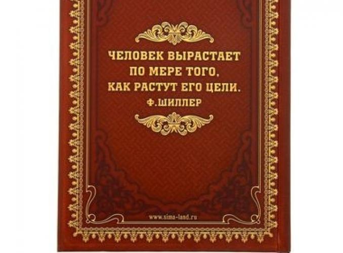 Ежедневник «Дела государственной важности» 96 листов