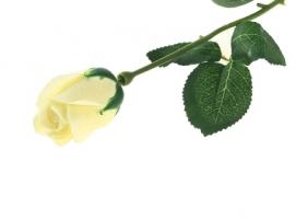 Мыльные лепестки Роскошная роза, цвет белый