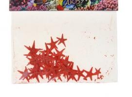 Набор натуральных морских звезд 1,5-2 см, 40 шт