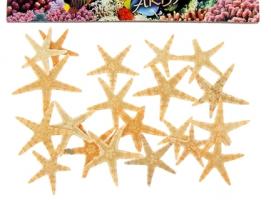 Набор натуральных морских звезд 2,2 - 3,5 см, 20 шт