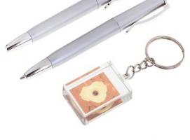 Набор подарочный 3в1: 2 ручки, брелок, цвета МИКС