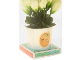 Декоративный букет в горшке Следуй за мечтой, белые тюльпаны