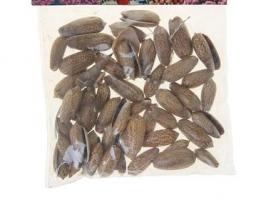 Набор ракушек Олива Текстилина, 3-4 см, 100 г