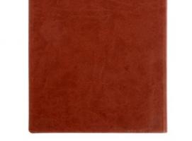 Ежедневник из искусственной кожи Вивелла «Дела государственной важности», 120 листов
